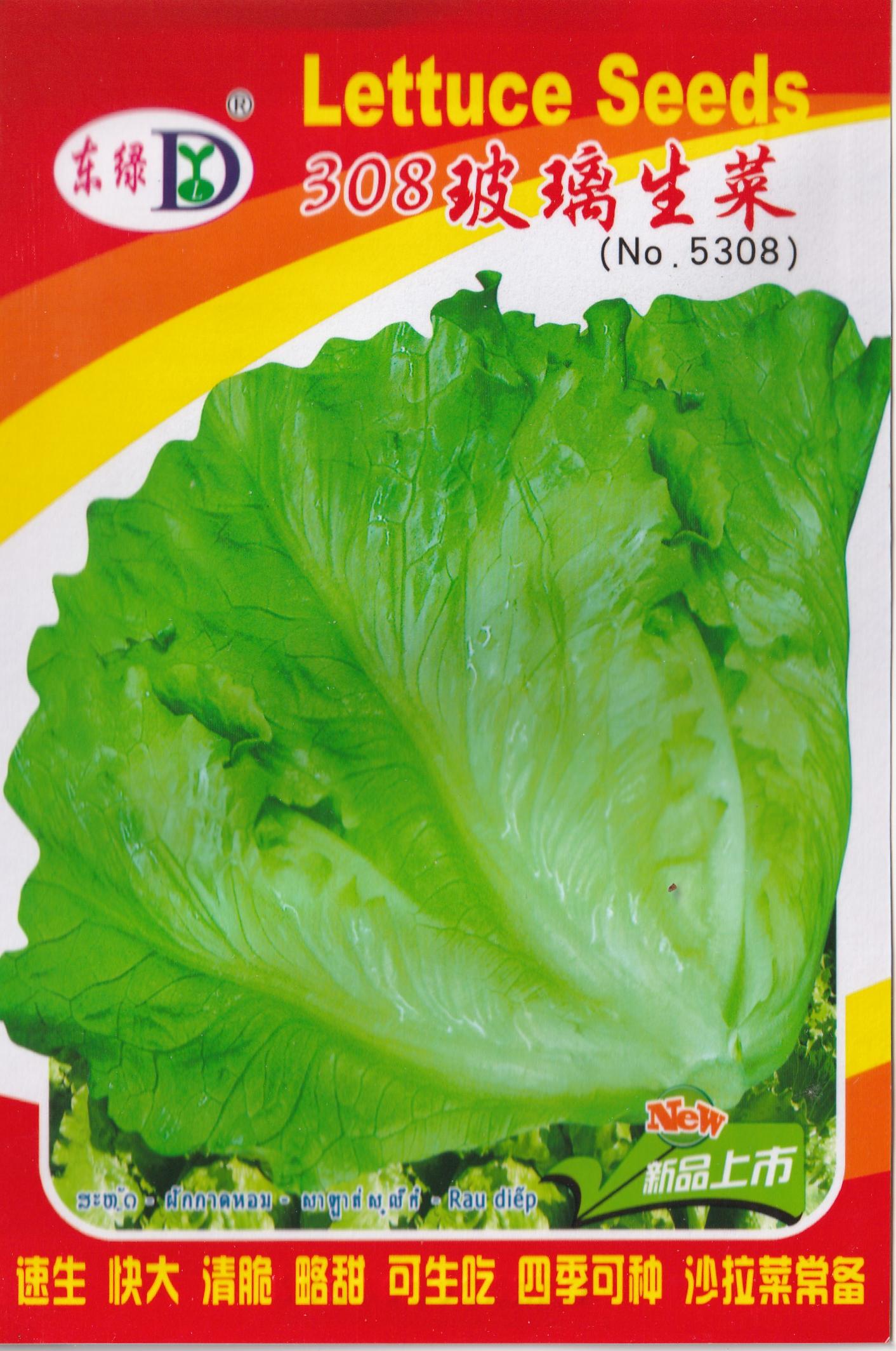 Italian Lettuce Vegetable Seeds (1000 seeds) - Basic Farm House