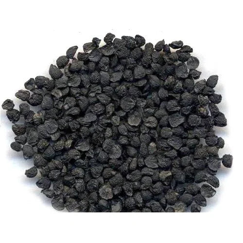 Garlic Seeds 800pcs – Fast Growing Bulb Garlic for Home Garden & Farming PH