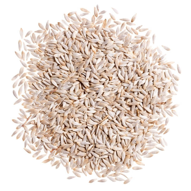 Italian Butter Glass Lettuce Vegetable Seeds ( 1500 seeds ) - Basic Farm House