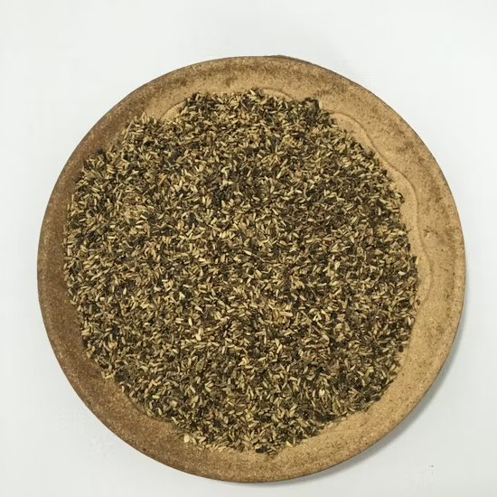 Chicory Frisée Seeds 8000 Seeds | Curly Endive Lettuce | Salad Greens | Easy to Grow