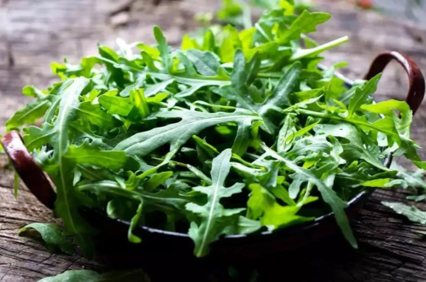 RARE Italian Rocket Lettuce / Arugula Vegetable Salad Seeds (1500 seeds) - Basic Farm House