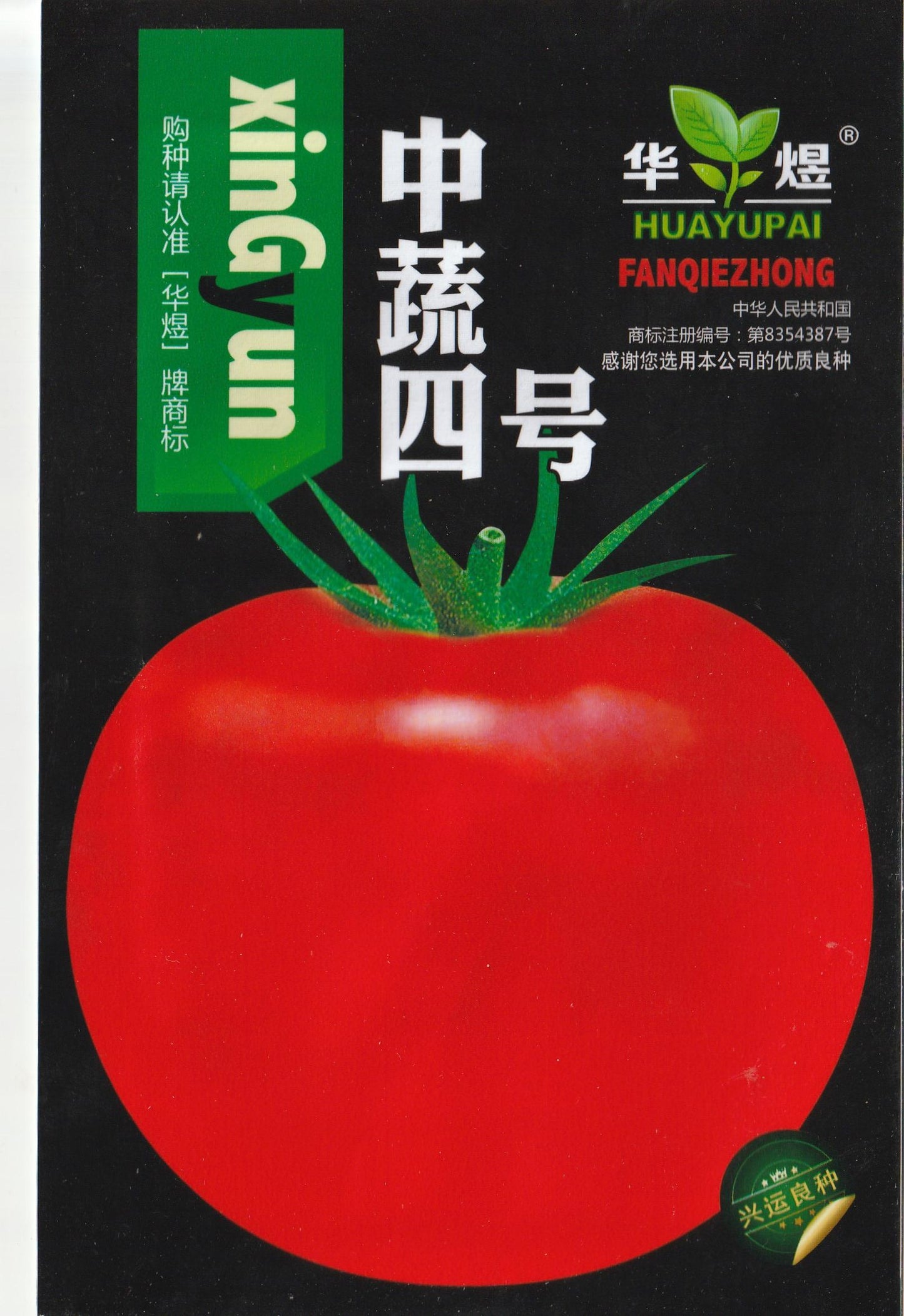 American Big Sweet Red Tomato Vegetable Seeds (200 seeds) - Basic Farm House