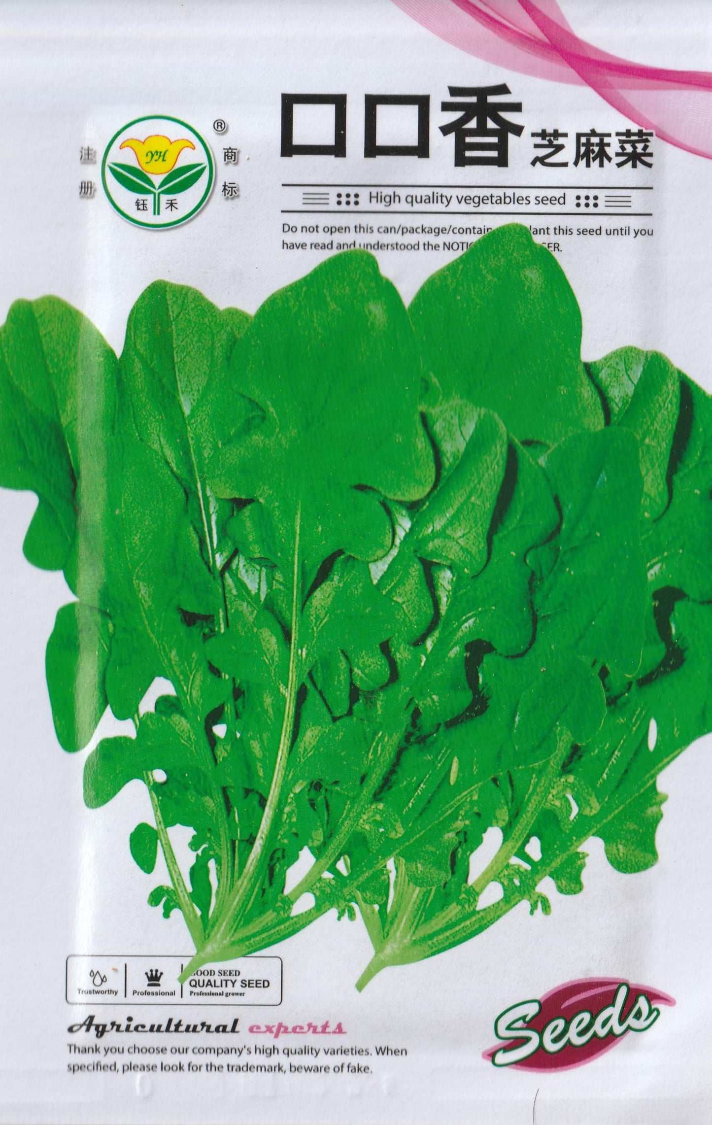 RARE Italian Rocket Lettuce / Arugula Vegetable Salad Seeds ( 1000 seeds ) - Basic Farm House