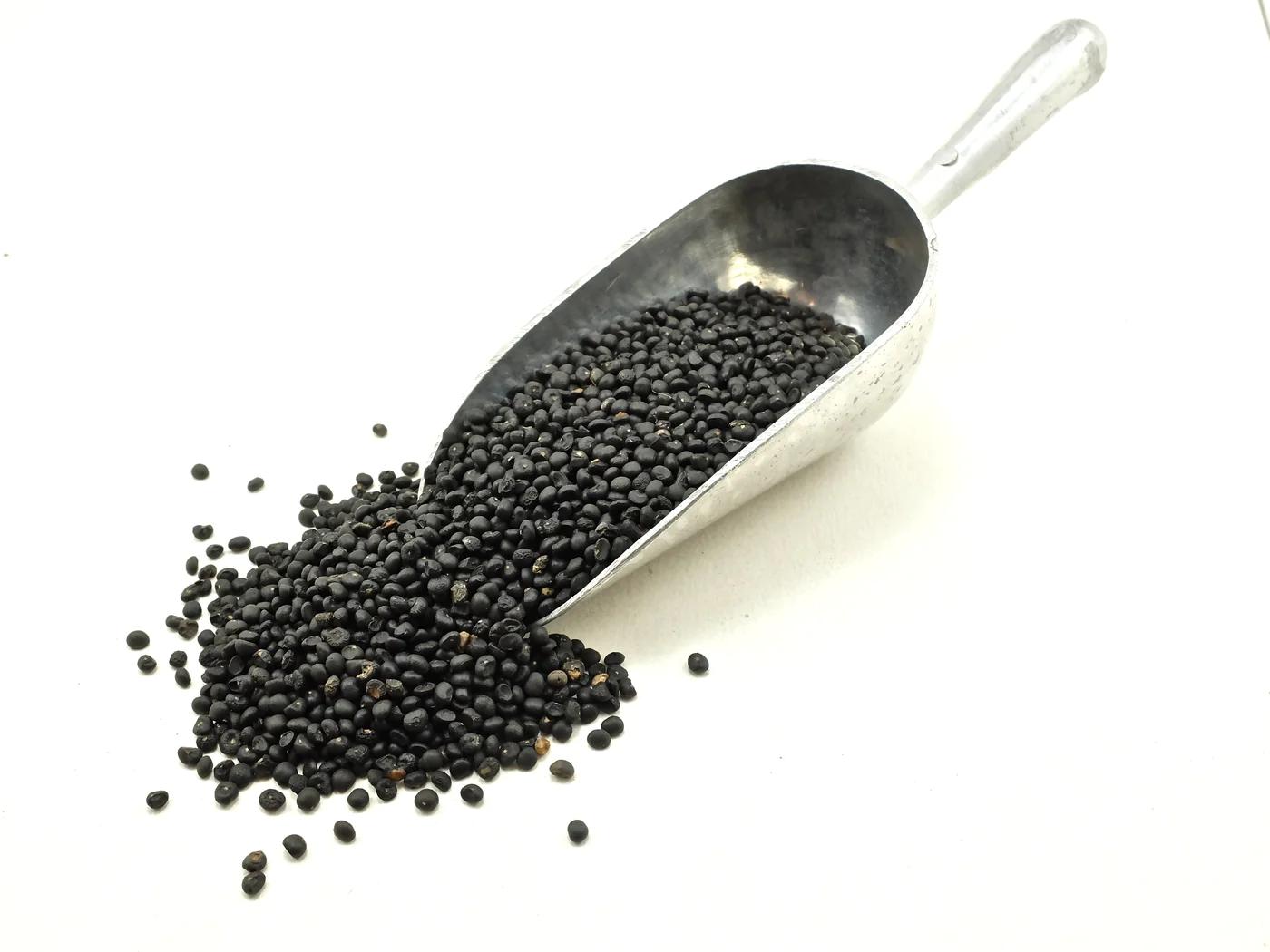 American Sweet Asparagus Variety Vegetable Seeds (25 seeds) - Basic Farm House