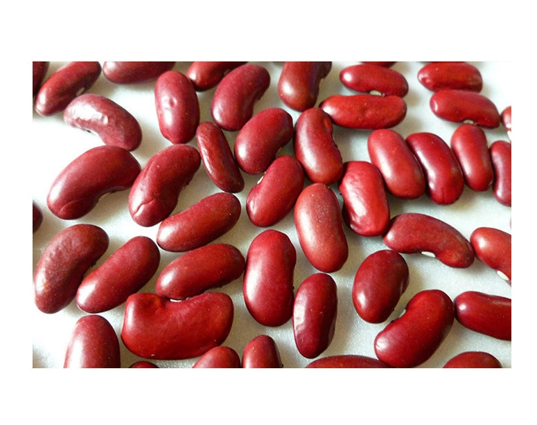 Baguio Beans Vegetable Seeds ( 30 seeds ) - Basic Farm House