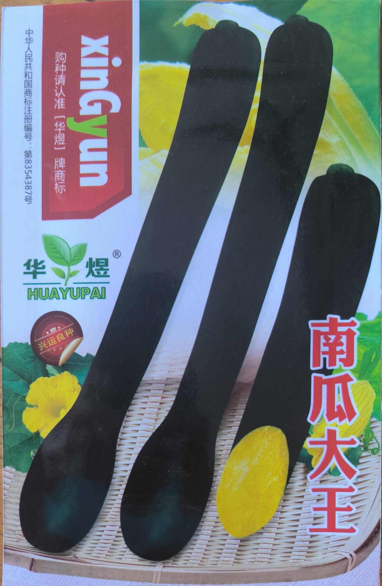 Black King Long Sweet Pumpkin Kalabasa Vegetable Variety Seeds ( 20 seeds ) - Basic Farm House