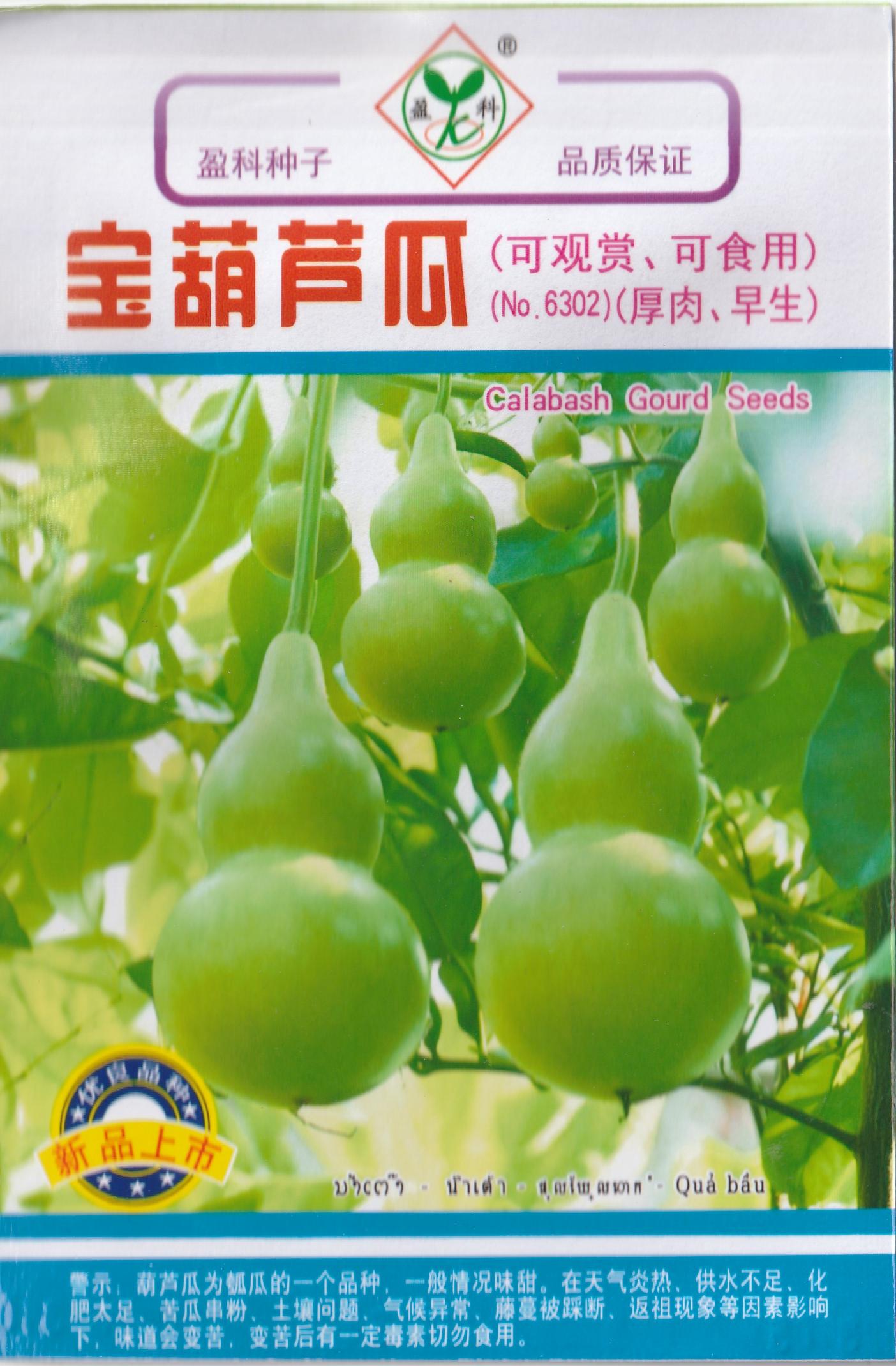 RARE Chinese Bottle Gourd UPO Vegetable Seeds (5 seeds) - Basic Farm House