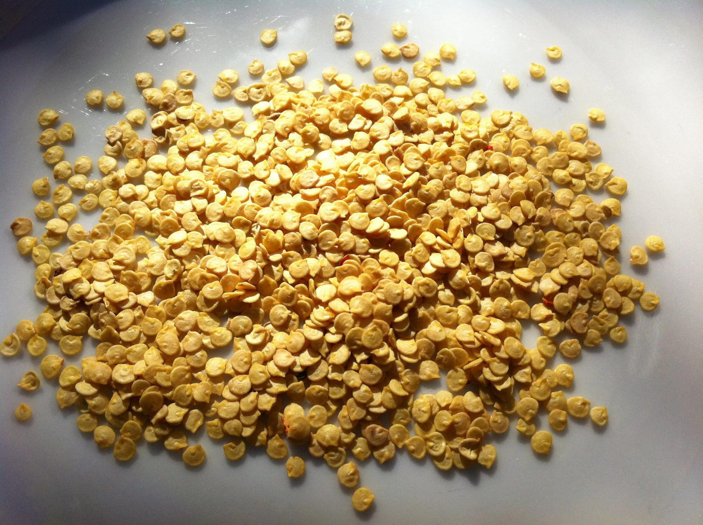 Siling Labuyo Vgetable Seeds ( 100 Seeds ) - Basic Farm House