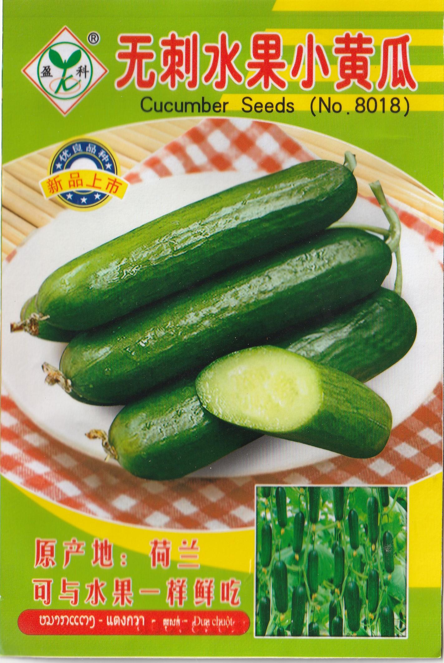 Hybrid Dutch Fruit Cucumber Pipino Salad Vegetable Seeds (18 seeds) - Basic Farm House