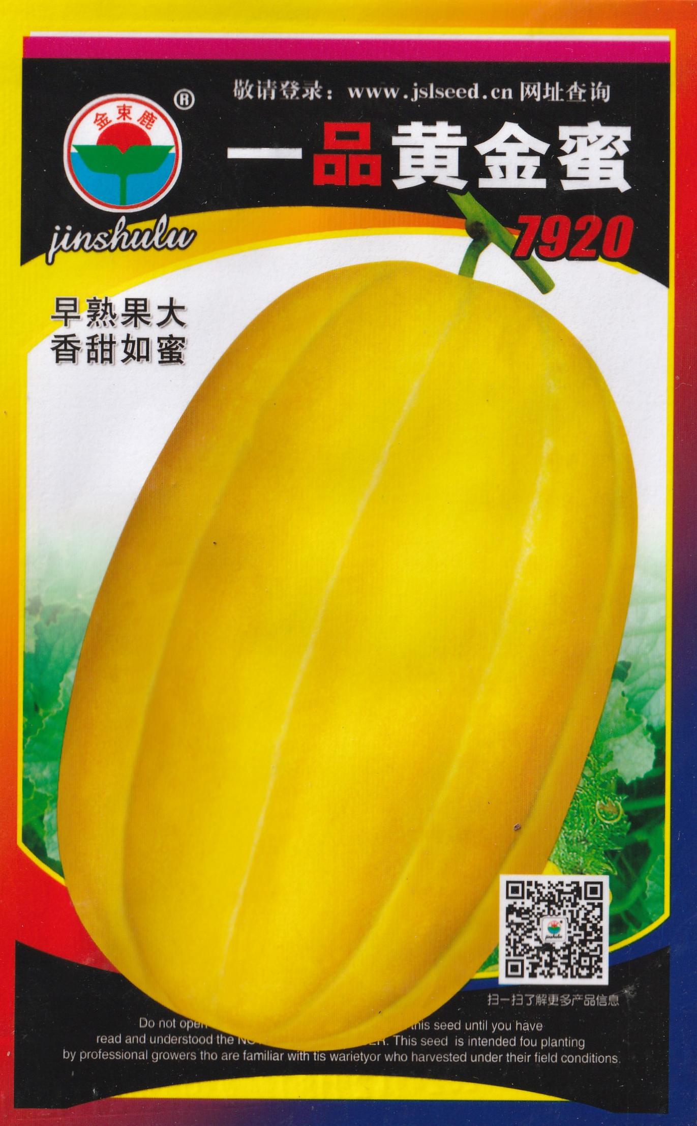 Golden Honeydew Melon Fruit Vegetable Seeds (50 seeds) - Basic Farm House
