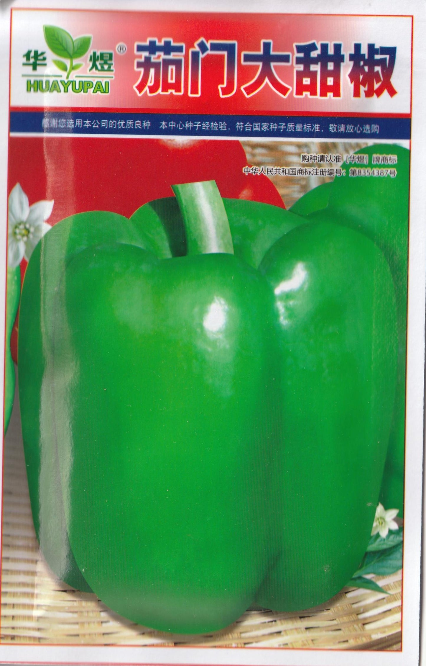 Green Sweet Bell Pepper Vegetable Seeds (500 seeds) - Basic Farm House