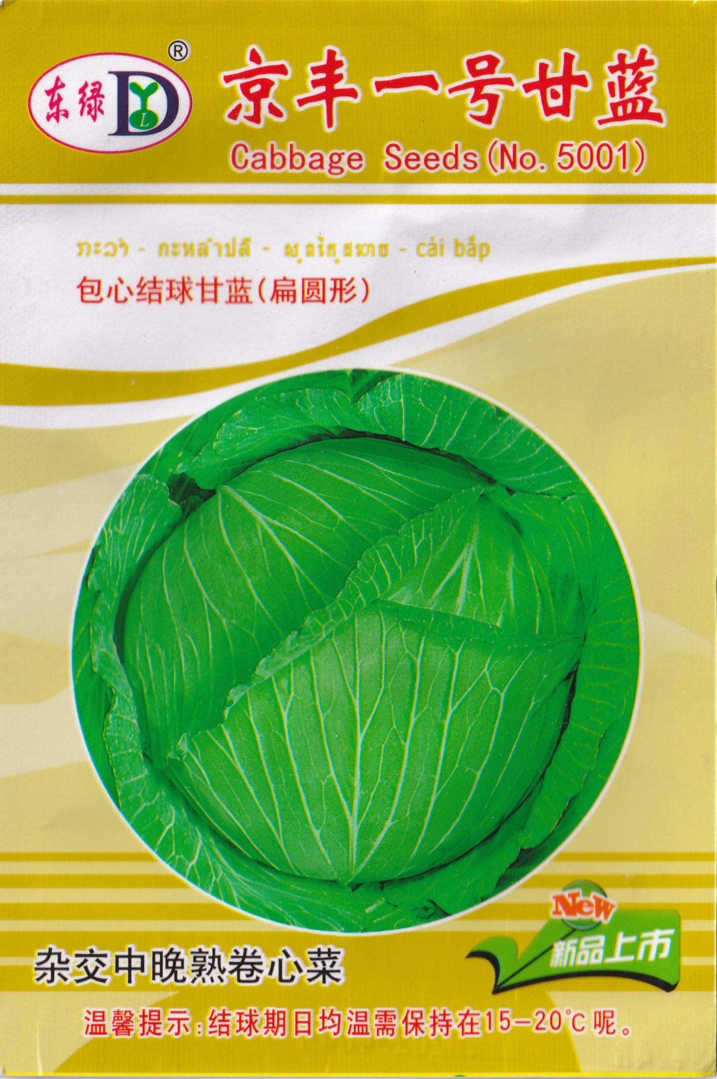 Green Cabbage Repolyo Vegetable Seeds (200 seeds) - Basic Farm House