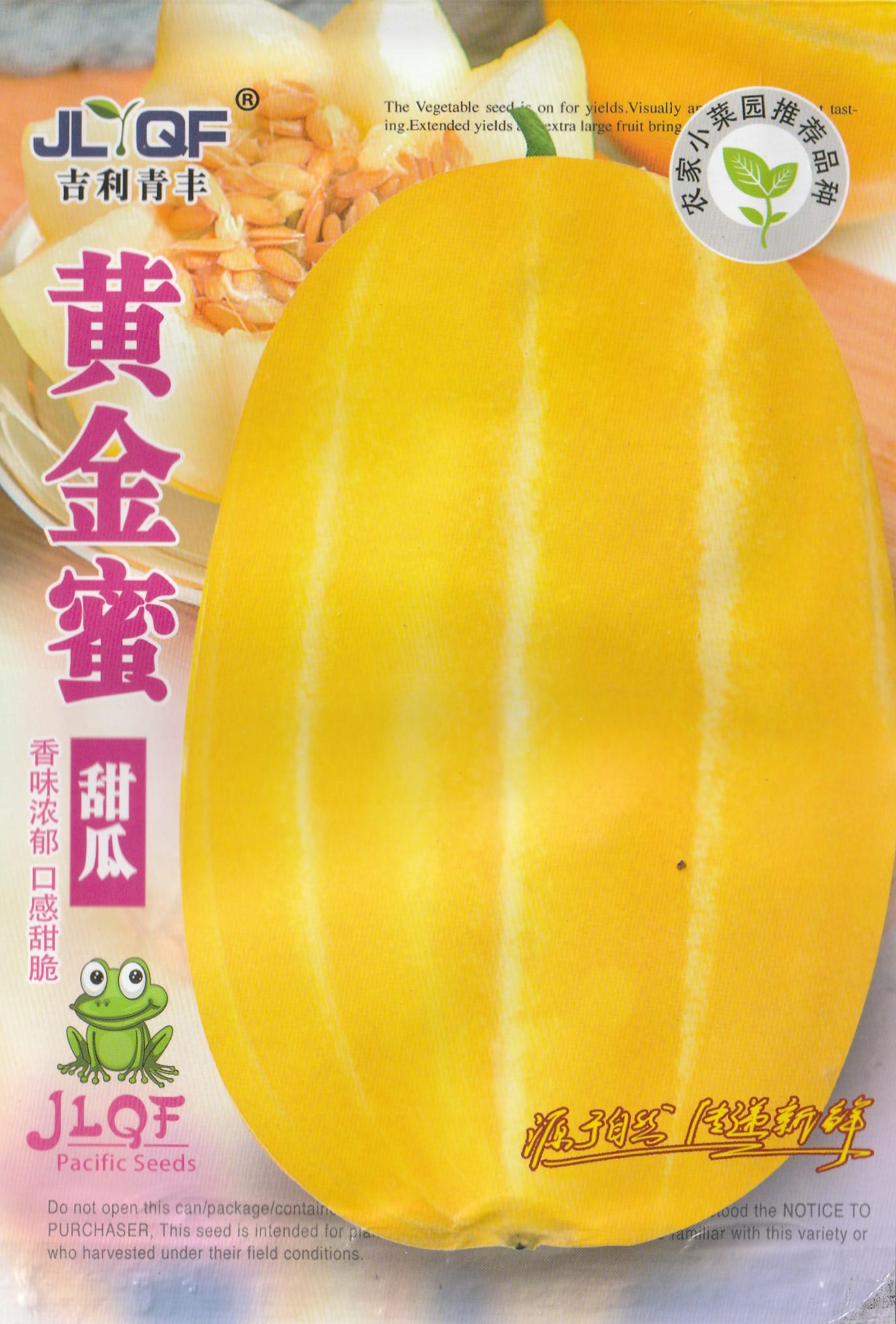 Korean Dragon Sweet Gold Melon Fruit Vegetable Seeds (50 seeds) - Basic Farm House