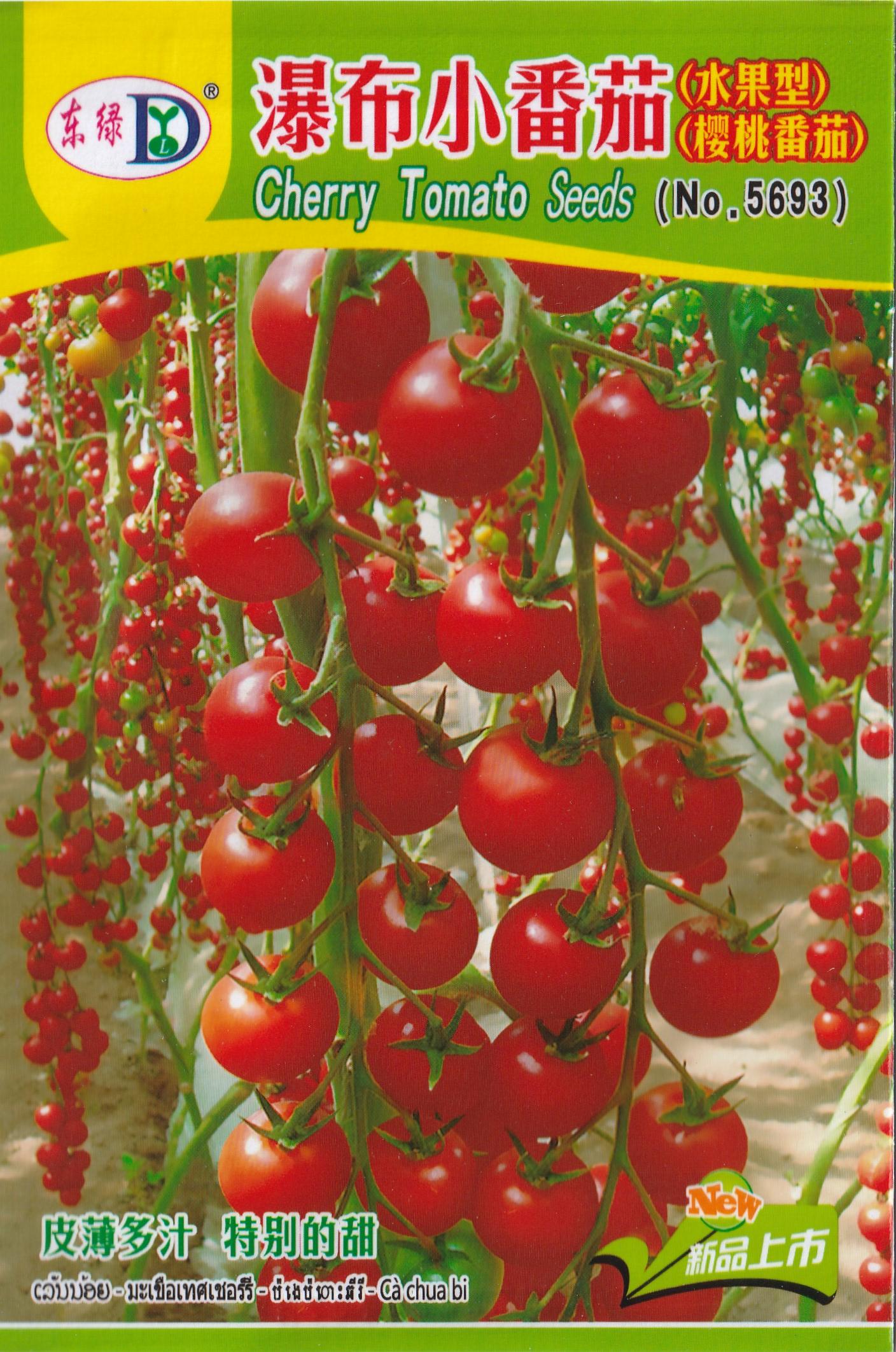 Hybrid Sweet Cherry Millennial Beauty Tomato Vegetable Seeds (100 seeds) - Basic Farm House