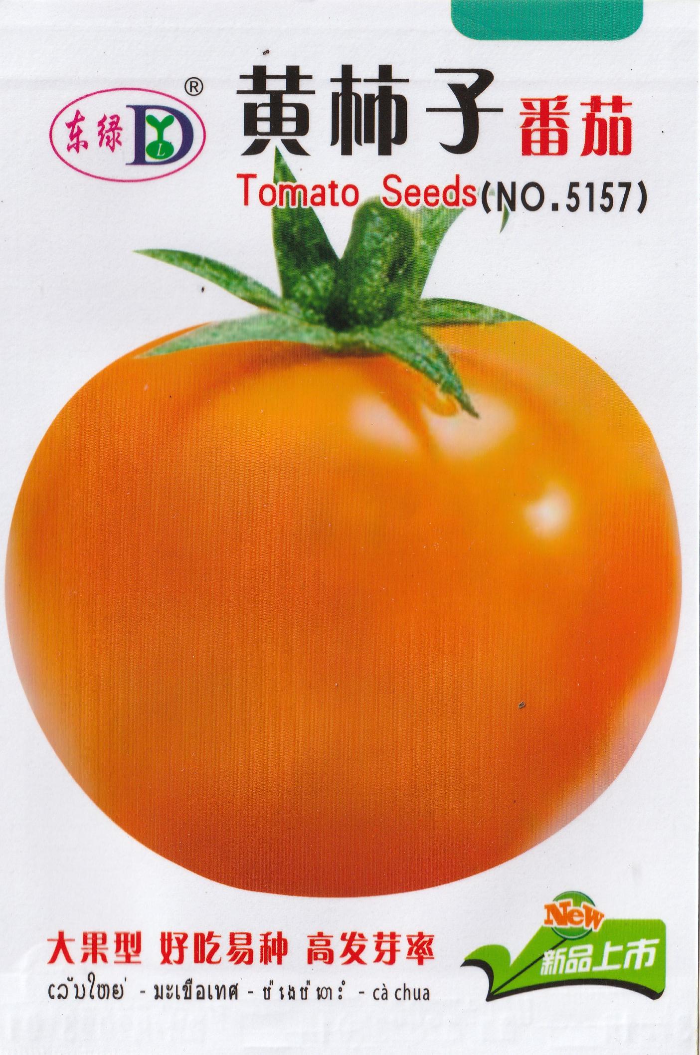BIG American Golden Jubilee Yellow Orange Tomato Vegetable Seeds (100 seeds) - Basic Farm House
