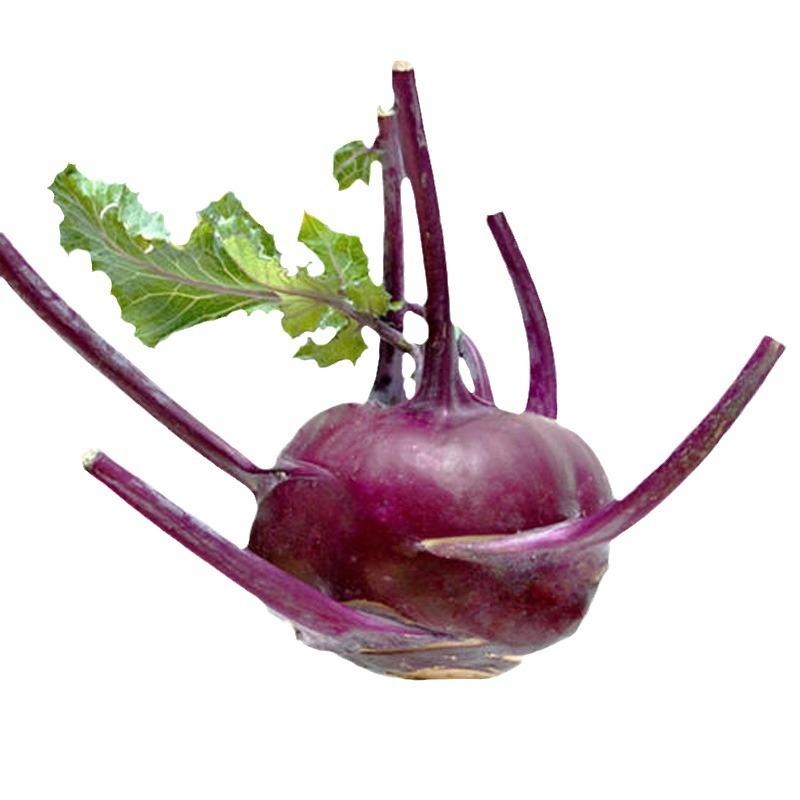 Kohlrabi Vegetable Seeds ( 500 seeds ) - Basic Farm House