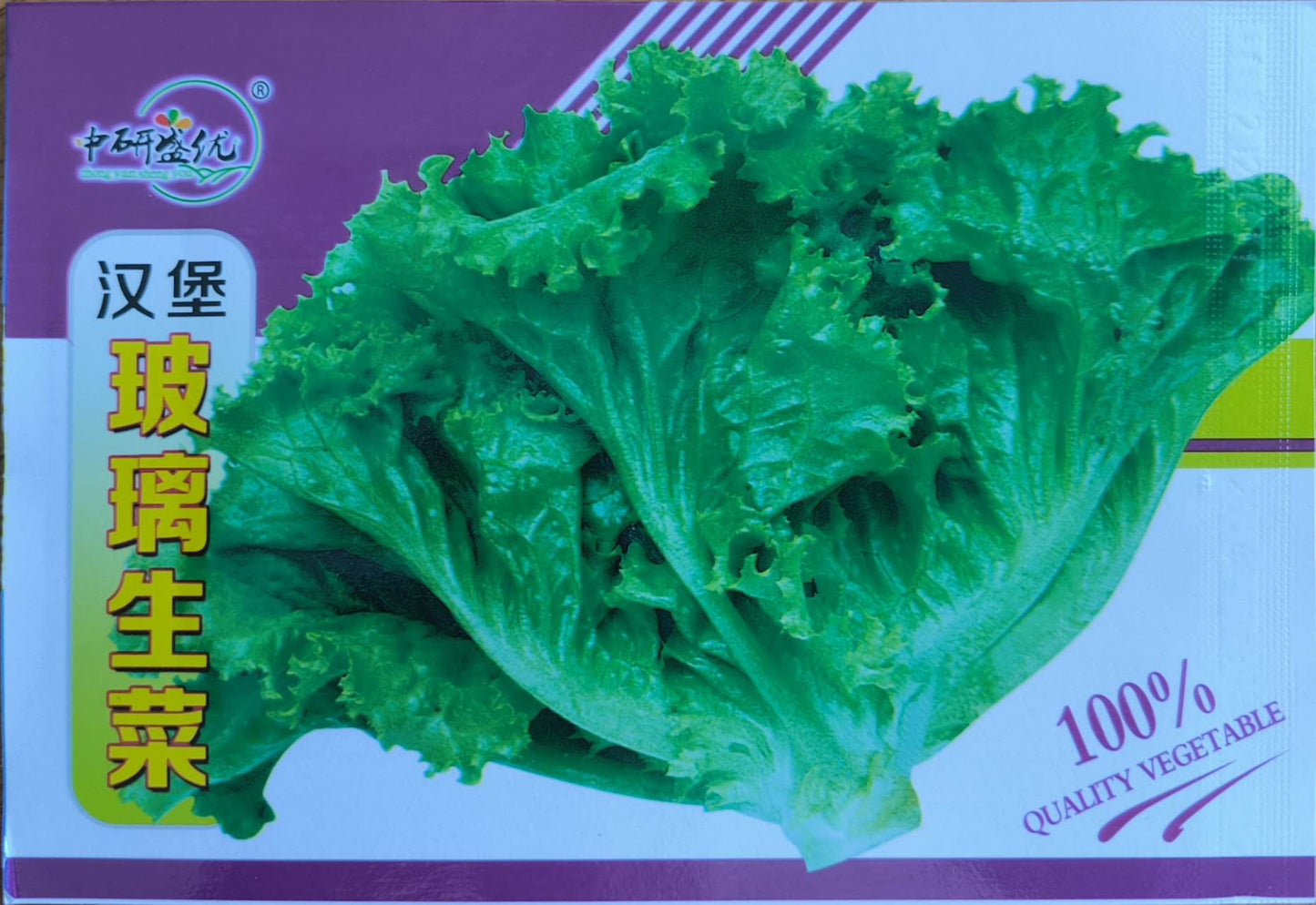 Rapid Green Leaf Lettuce Salad Vegetable Seeds (2000 seeds) - Basic Farm House