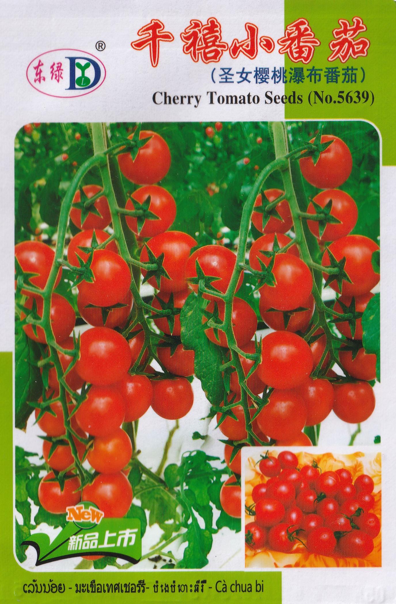 Sweet Cherry Millennial Tomato Vegetable Seeds (80 seeds) - Basic Farm House
