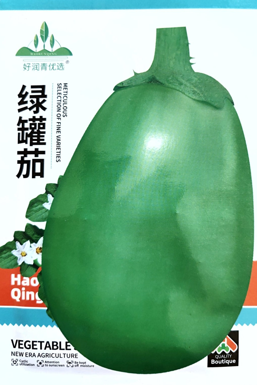 Rare Oval Green Eggplant Vegetable Seeds (300 seeds) - Basic Farm House