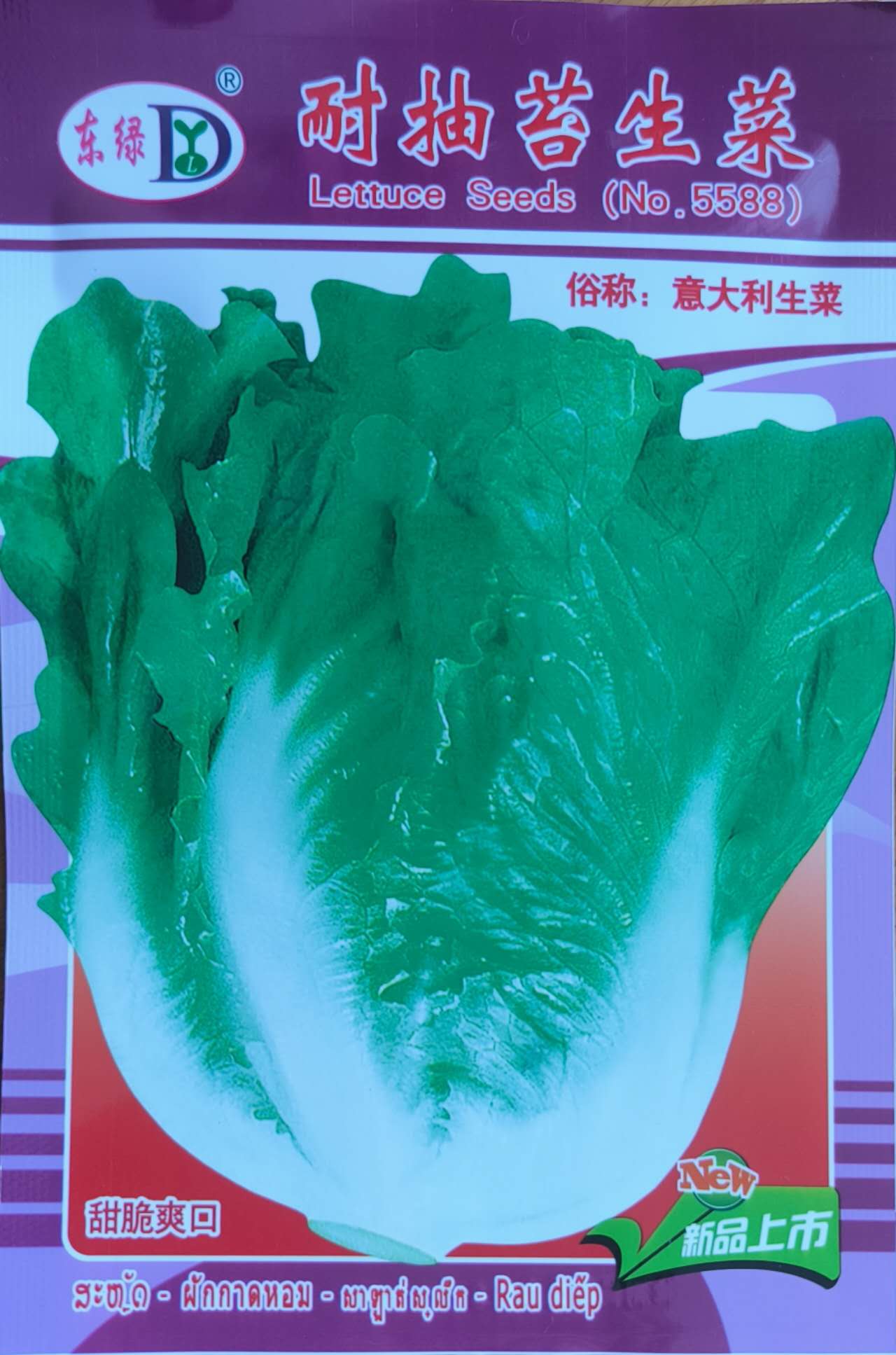 Premium Quality Pack Italian Green Lettuce Vegetable Seeds ( 3000 seeds ) - Basic Farm House