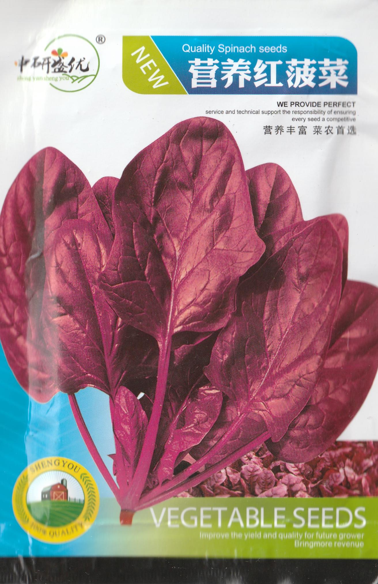 Purple Passion Mountain Spinach Vegetable Seeds ( 300 seeds ) - Basic Farm House