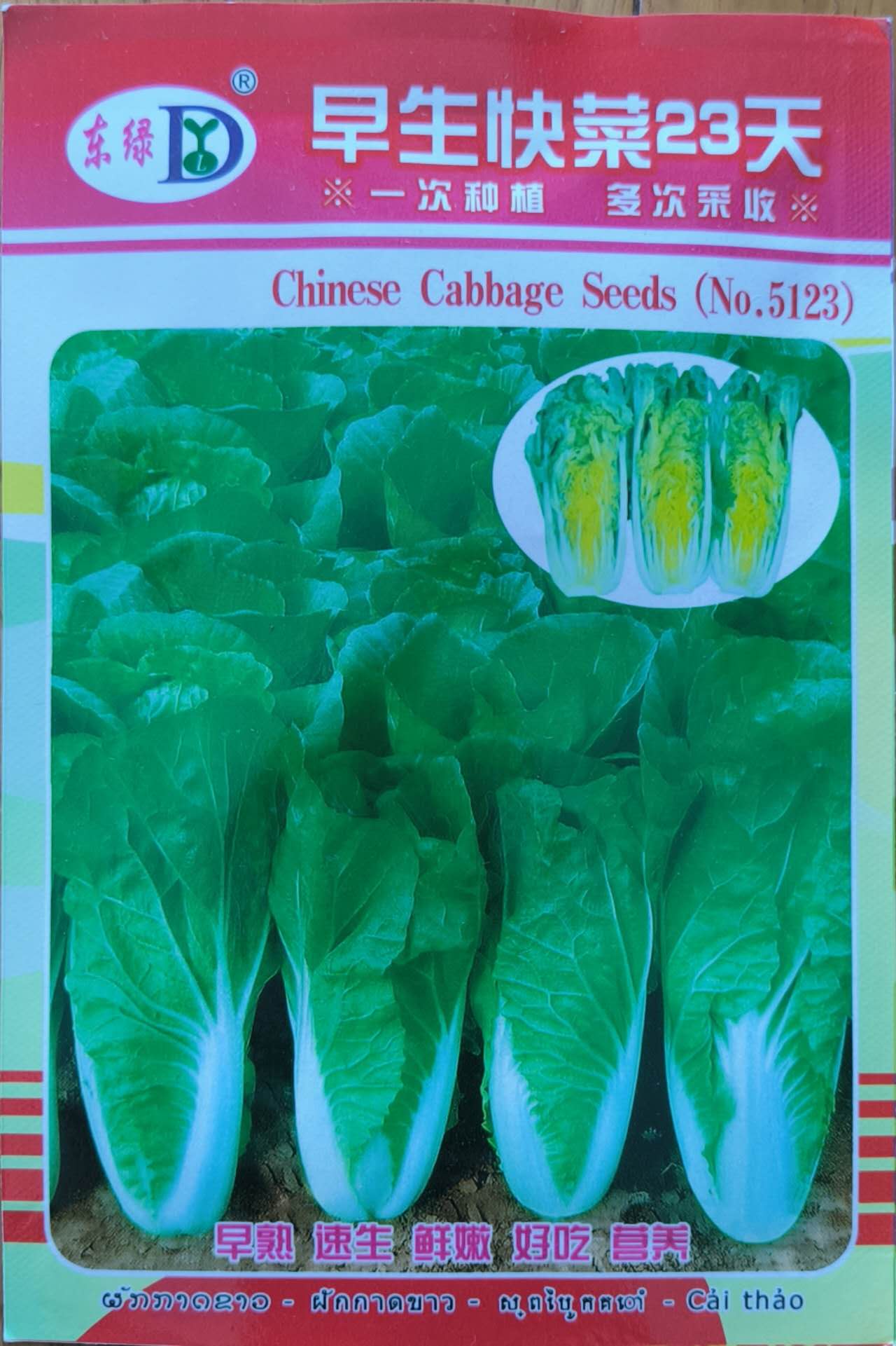 Rapid Chinese Pechay Vegetable Seeds (2000 seeds) - Basic Farm House