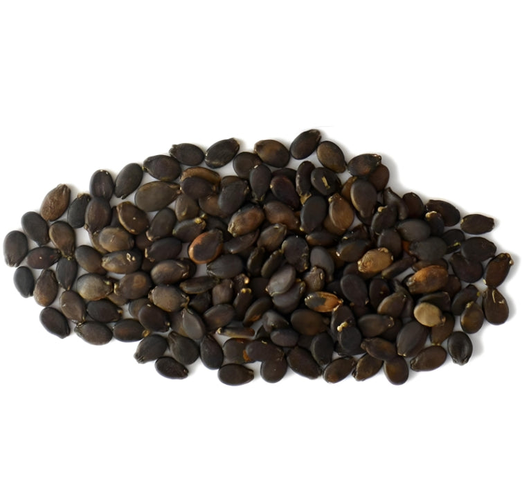 RARE 8424 High Sweet King Watermelon Variety Seeds (30 seeds) - Basic Farm House