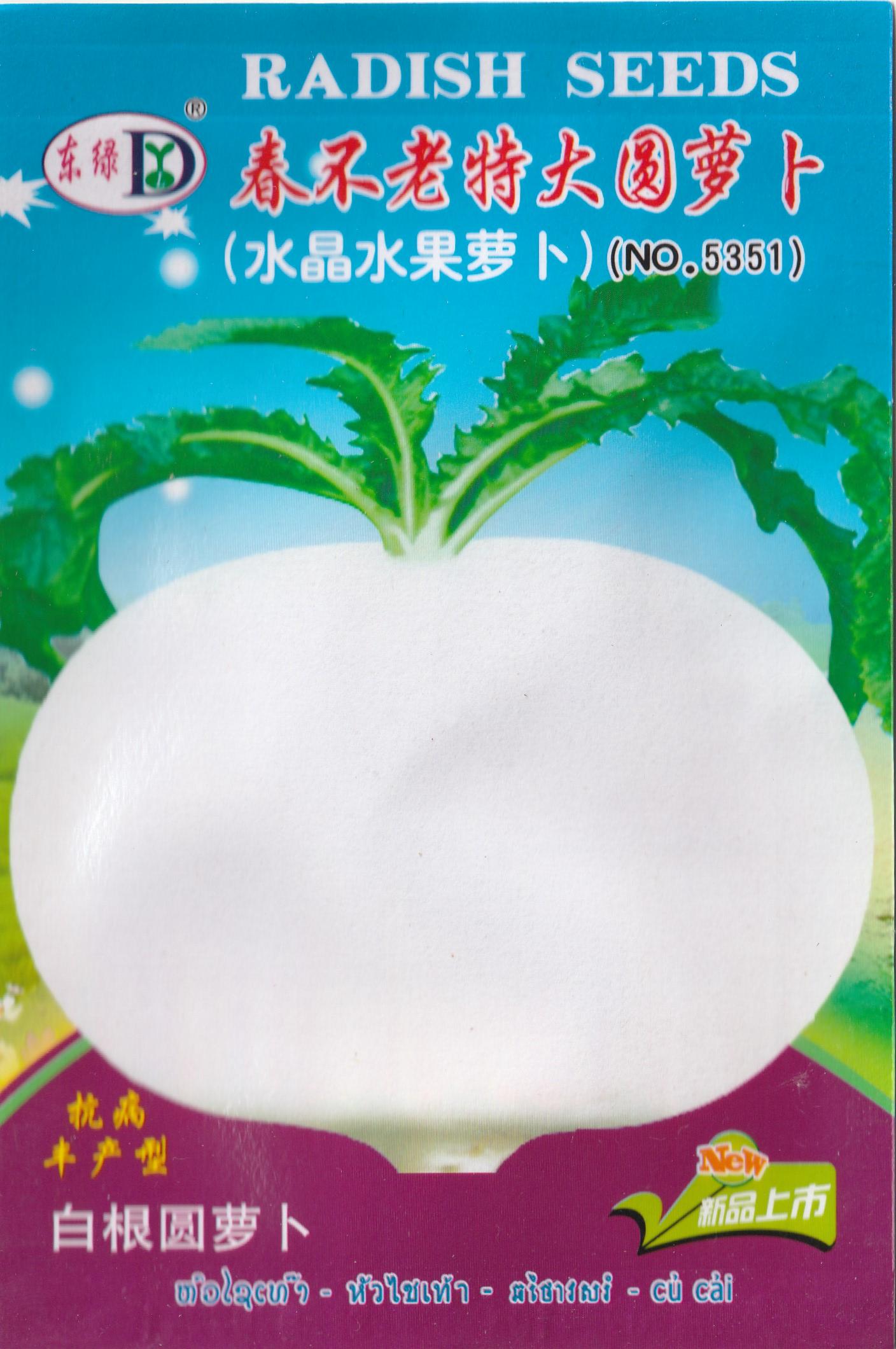 Round White Radish Labanos Vegetable Seeds (300 seeds) - Basic Farm House