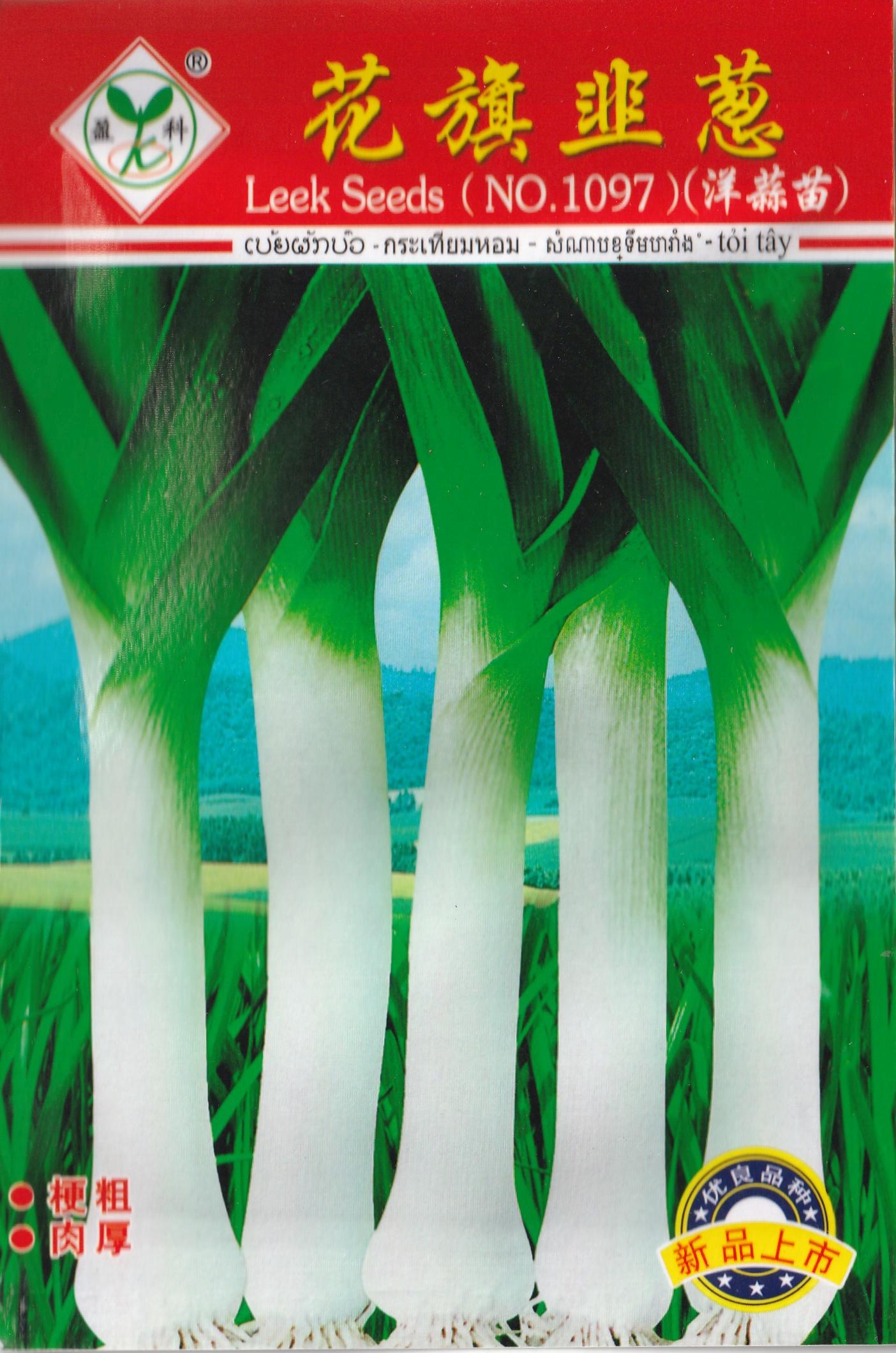 BIG Green Bunching Scallion Onion Vegetable Seeds ( 500 seeds ) - Basic Farm House