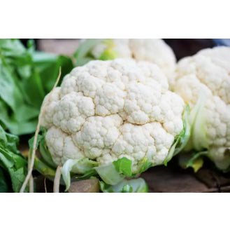 Organic Cauliflower Vegetable Seeds (300 seeds) - Basic Farm House