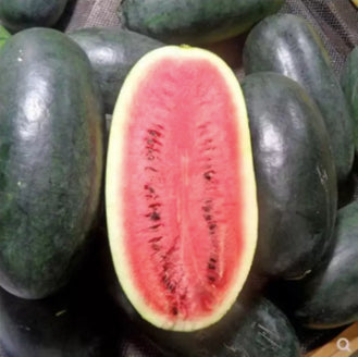 Lazy Black Overlord Watermelon King Fruit Vegetable Seeds (30 seeds) - Basic Farm House