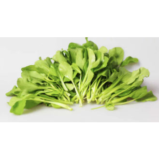 Chinese Baby Bok Choy Vegetable Seeds (600 seeds) - Basic Farm House