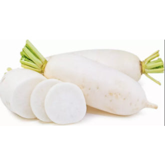 RARE Korean Chinese Daikon Queen Radish Super Extra Large Vegetable Seeds (300 seeds) - Basic Farm House