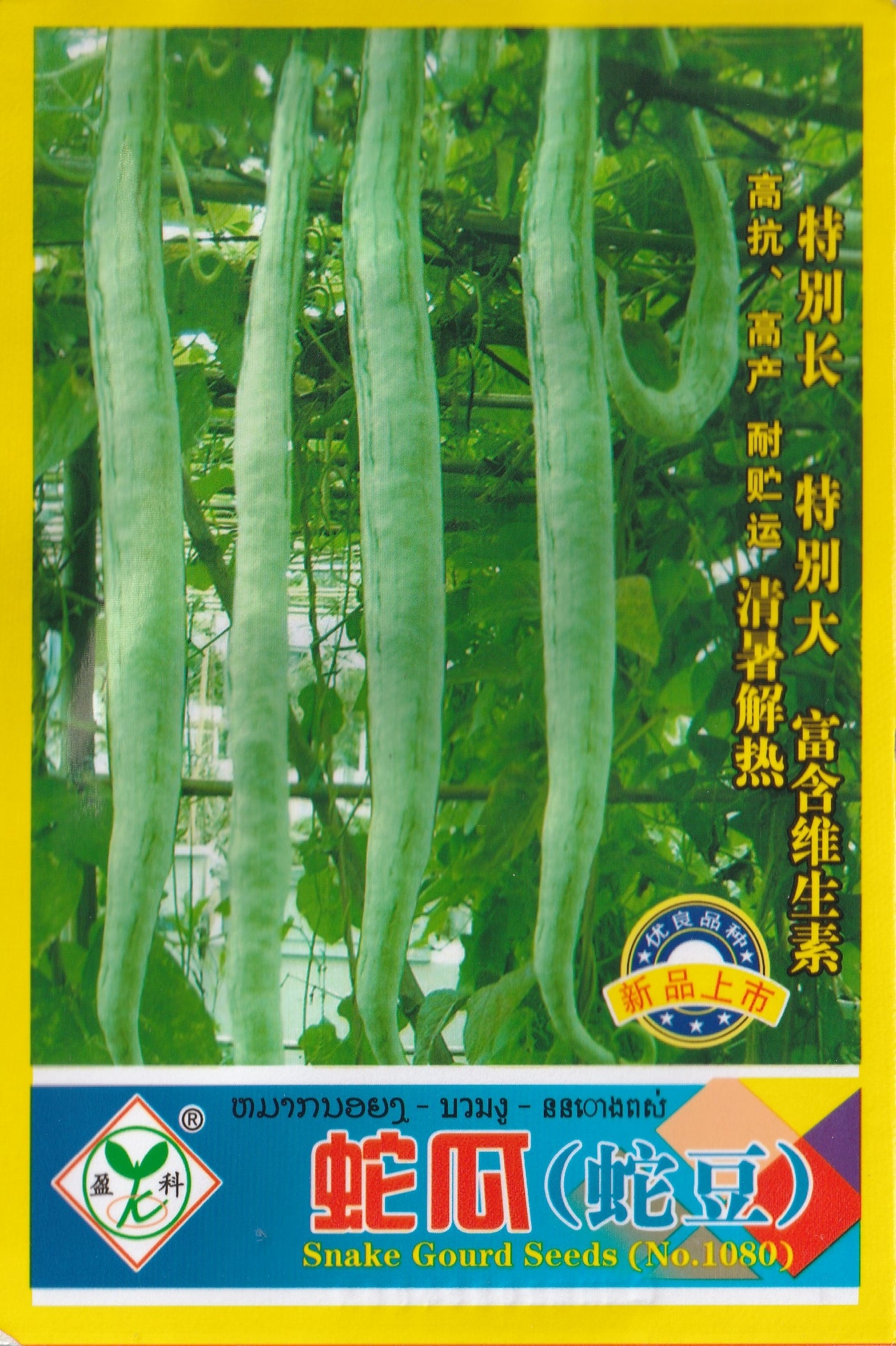 Rare Snake Gourd Bean Vegetable Seeds (4 seeds) - Basic Farm House