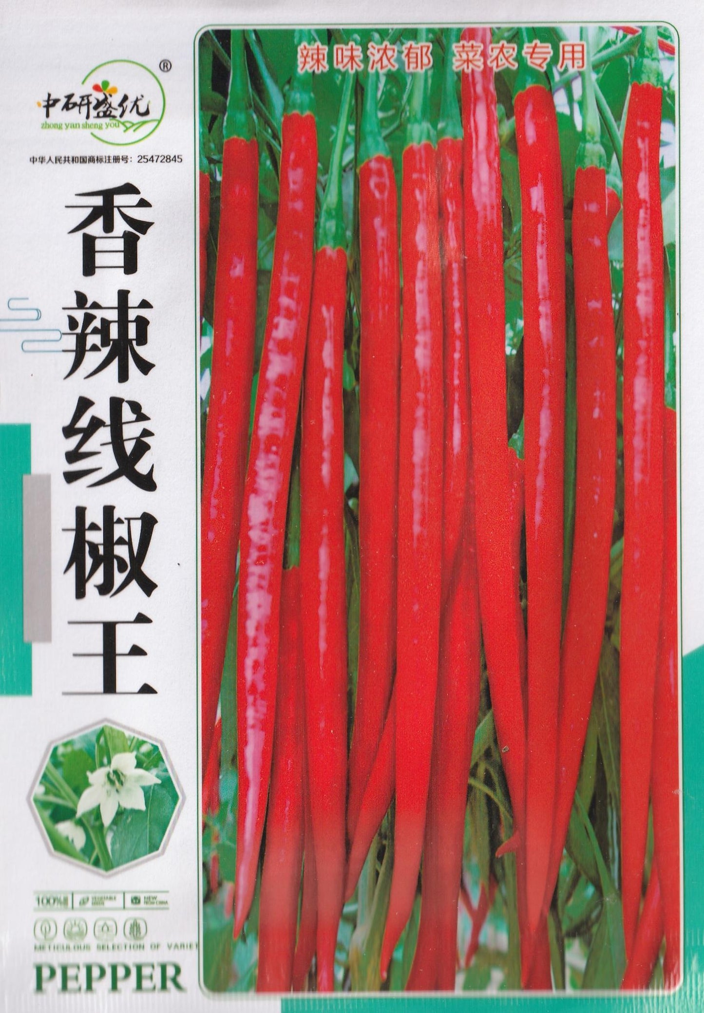 Super Long Red Hot Spicy Chili Pepper Vegetable Seeds ( 400 seeds ) - Basic Farm House