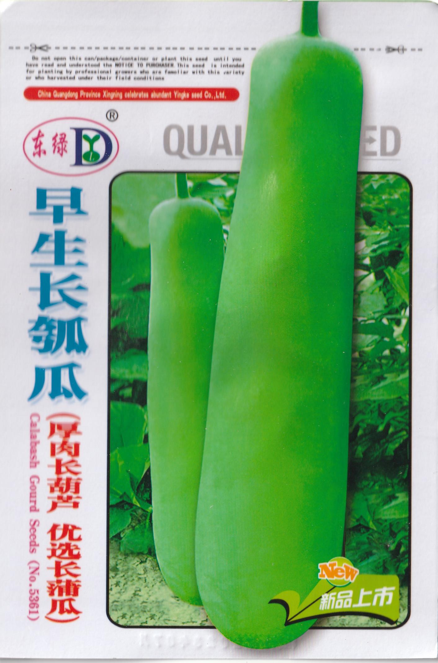 Giant Long Variety Loofah Sponge Gourd Upo Vegetable Seeds (20 seeds) - Basic Farm House