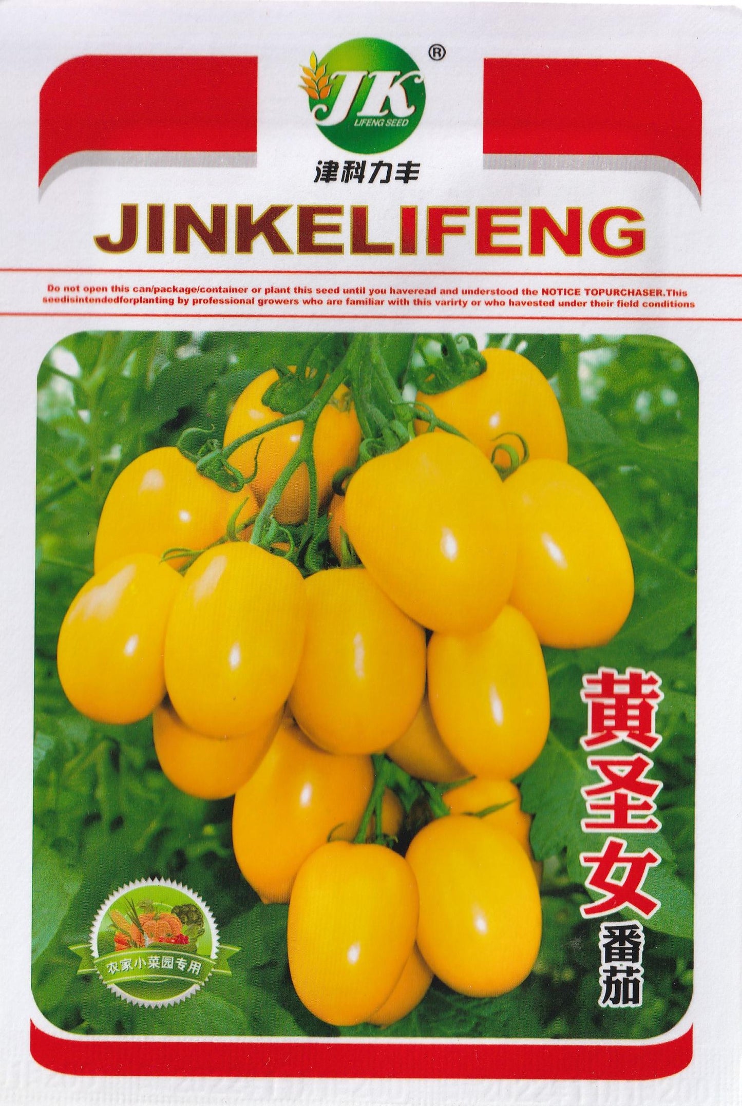 Rare Yellow Virgin Cherry Tomato Vegetable Seeds (100 seeds) - Basic Farm House