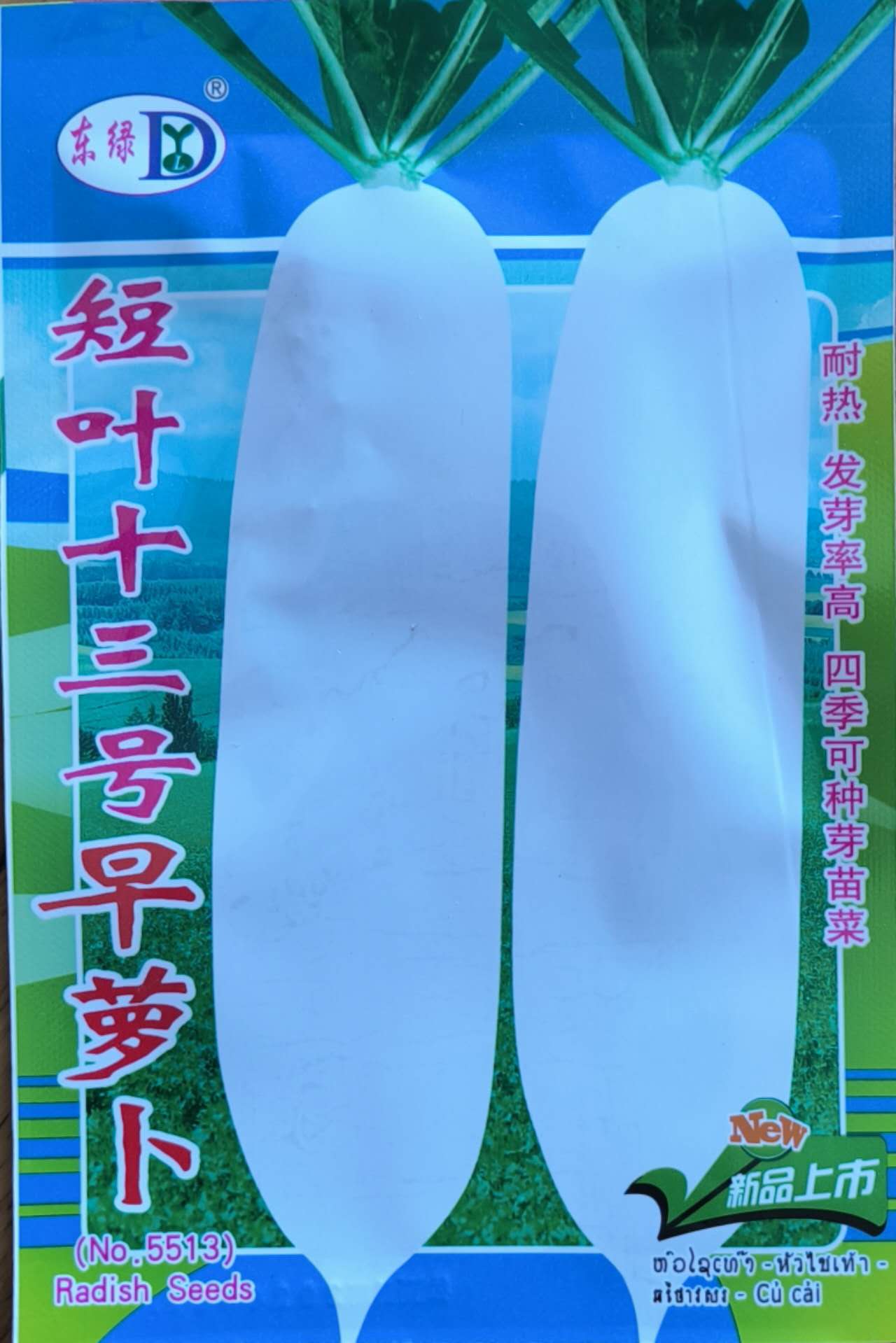 RARE Korean White Jade Radish Extra Large Vegetable Seeds (300 seeds) - Basic Farm House
