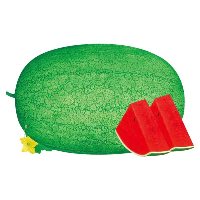 August Ambrosia Watermelon Seeds (30 Seeds) | Extra Sweet Red Flesh | High Yield Fruit Seeds