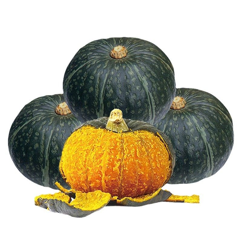 Japanese Black Pumpkin Seeds 20 Seeds | Sweet Squash | Easy to Grow