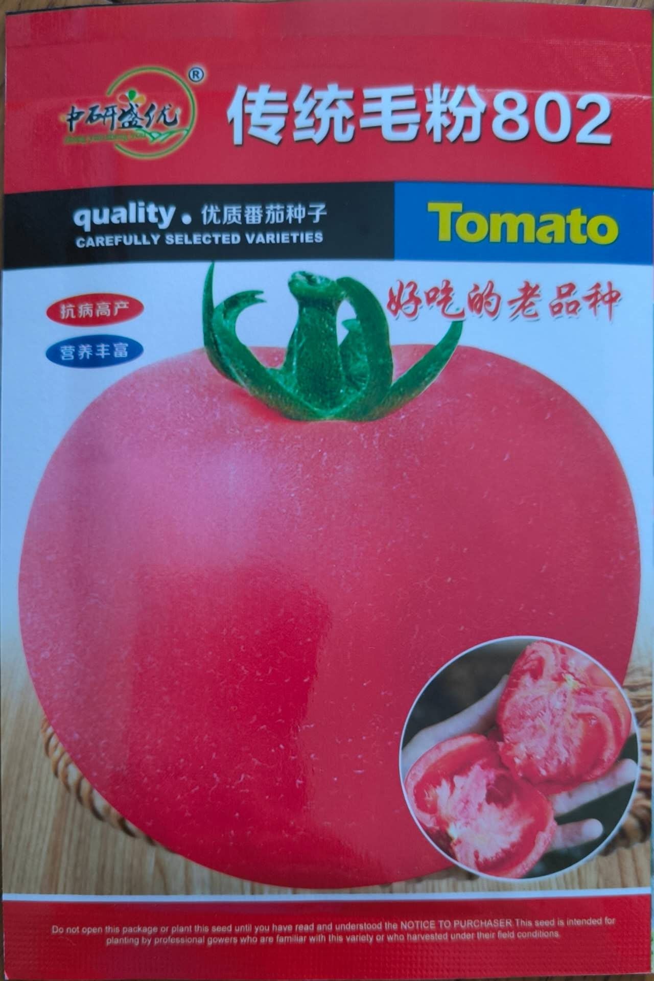 Red Shine Big Tomato Kamatis Vegetable Seeds ( 100 seeds ) - Basic Farm House