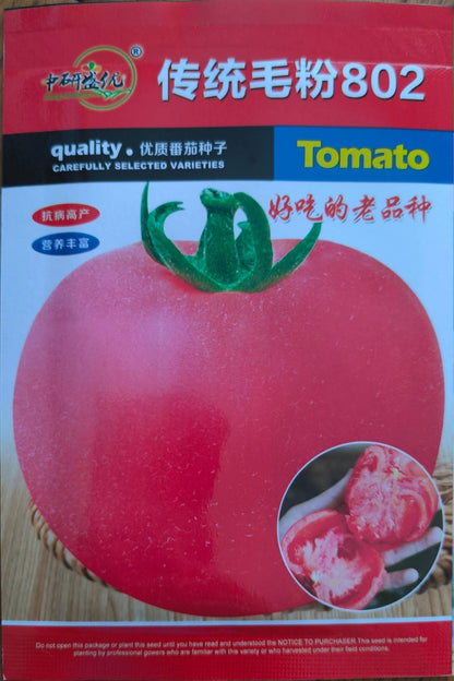 Red Shine Big Tomato Kamatis Vegetable Seeds ( 100 seeds ) - Basic Farm House