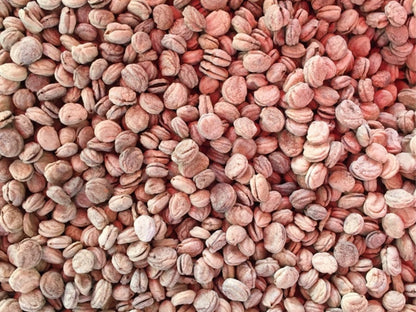 Ginseng Fruit Seeds ( 25 seeds ) - Basic Farm House