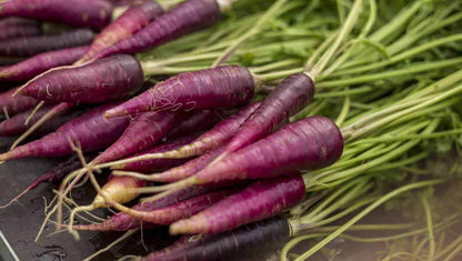 Purple Carrot Seeds 1000pcs Pack – Fast Growing, Sweet & Healthy | Pots & Garden Beds