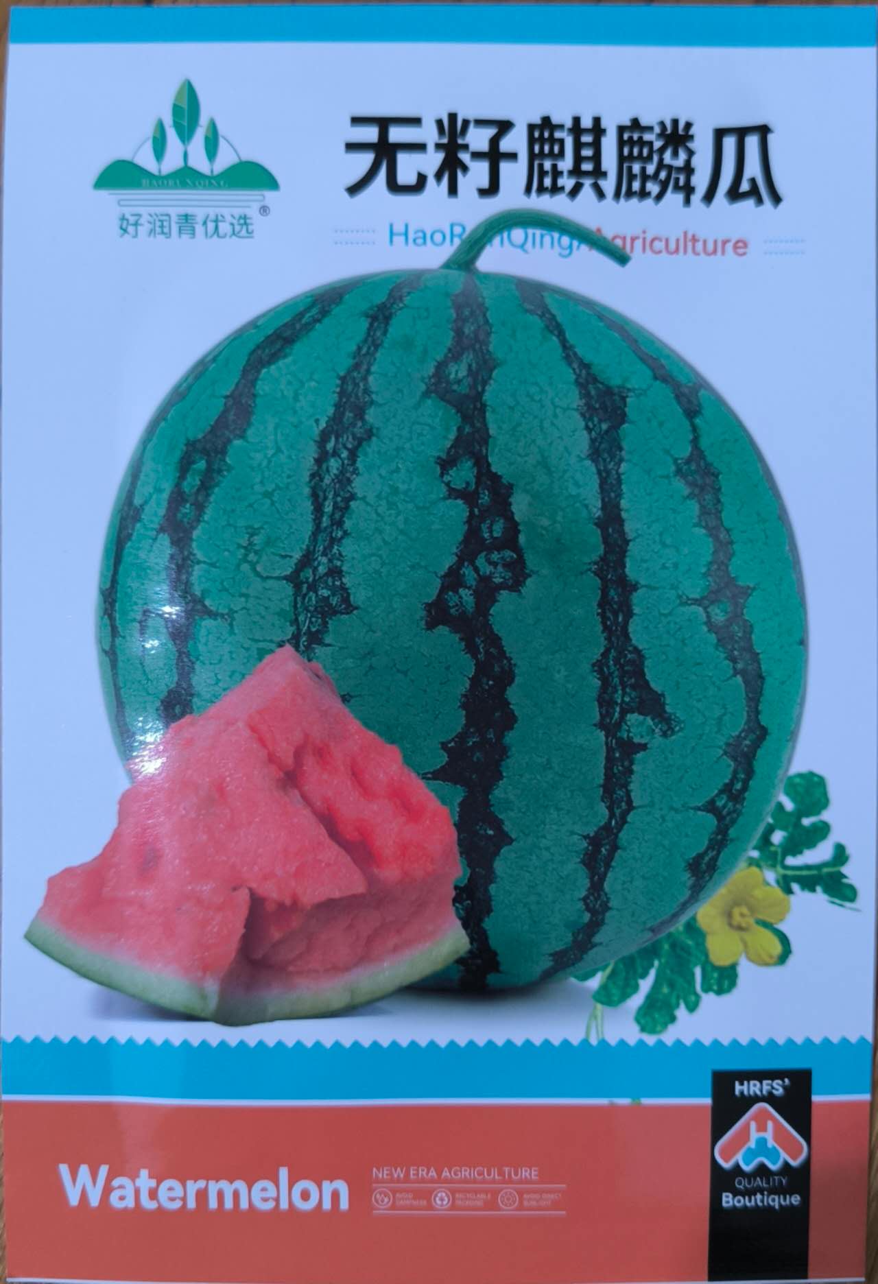 Seedless High Sweet Round Watermelon Seeds ( 30 seeds ) - Basic Farm House