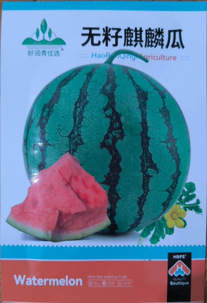 Seedless High Sweet Round Watermelon Seeds ( 30 seeds ) - Basic Farm House