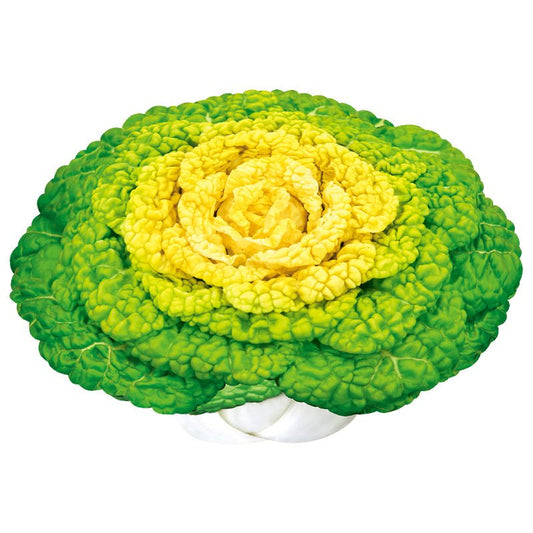 Yellow Rose Pak Choi Pechay Cabbage Vegetable Seeds (1000 seeds) - Basic Farm House