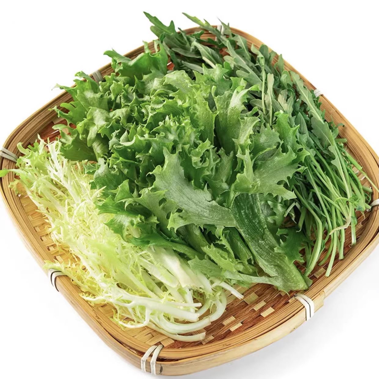 Chicory Frisée Seeds 8000 Seeds | Curly Endive Lettuce | Salad Greens | Easy to Grow