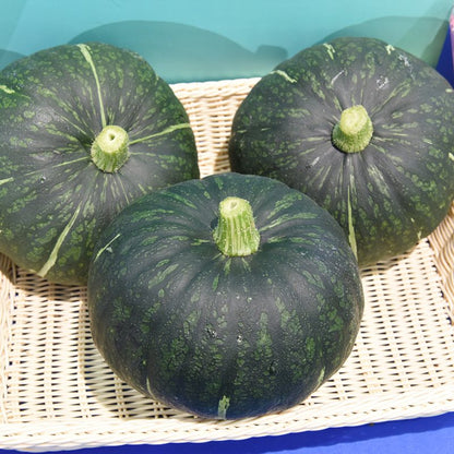 Japanese Black Pumpkin Seeds 20 Seeds | Sweet Squash | Easy to Grow
