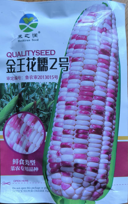Hybrid Sweet Sugar Waxy Corn Mais Vegetable Seeds (30 seeds) - Basic Farm House